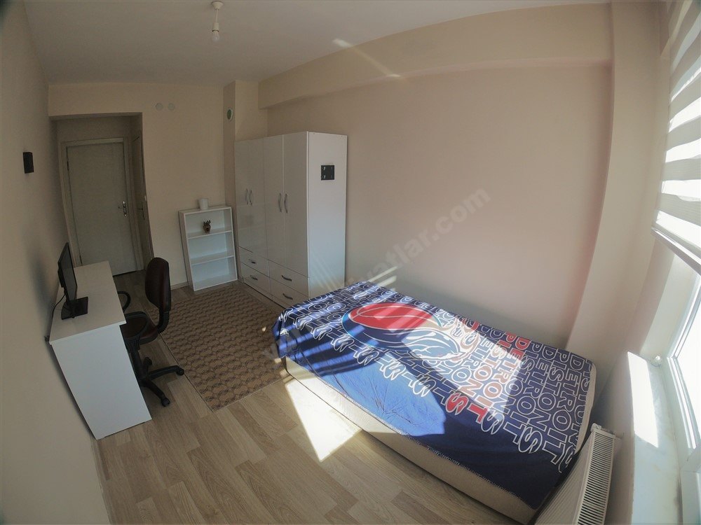 Ev arkdaşı arıyorum